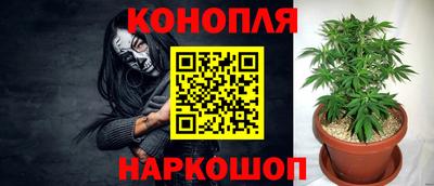 трава Пыть-Ях
