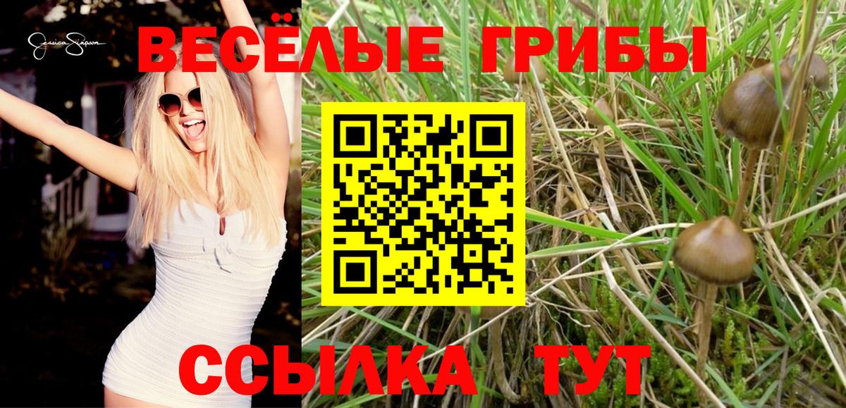 Галлюциногенные грибы Cubensis Похвистнево